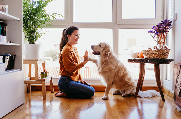 a woman and a dog sitting on a wooden floor