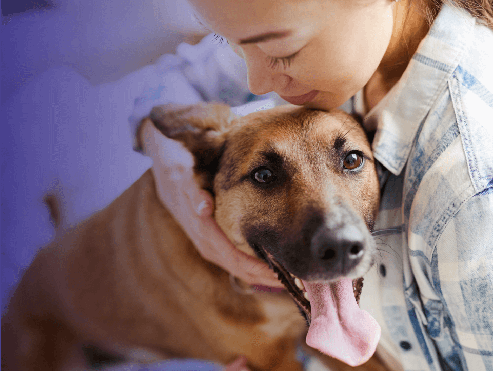 person with a dog